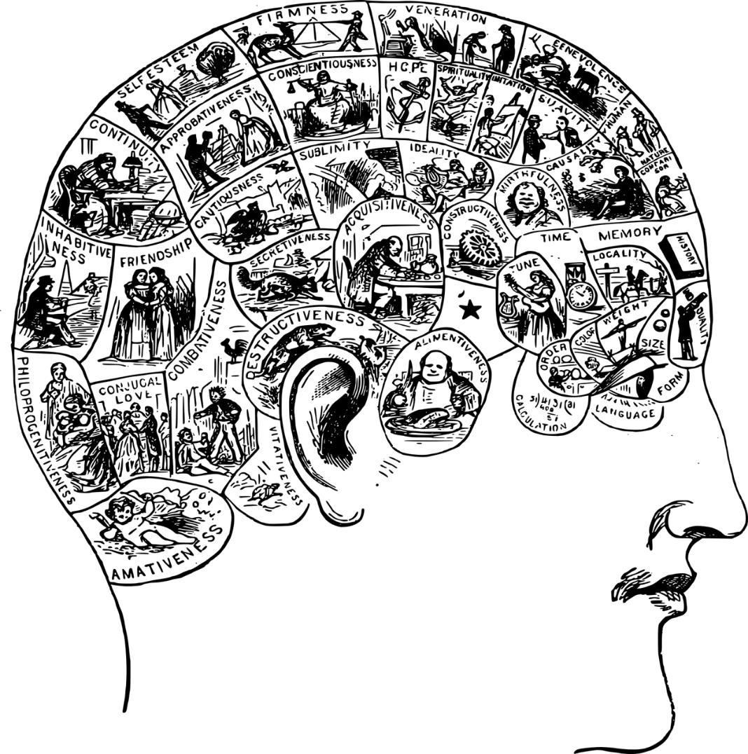 Cerveau